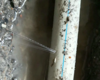 鲅鱼圈卫生间测漏水多少钱