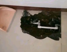 鲅鱼圈卫生间测漏水多少钱 鲅鱼圈卫生间测漏水多少钱